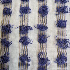 Anthropologie Curtain Panel Drapes blue and white cotton, 50.5* 67